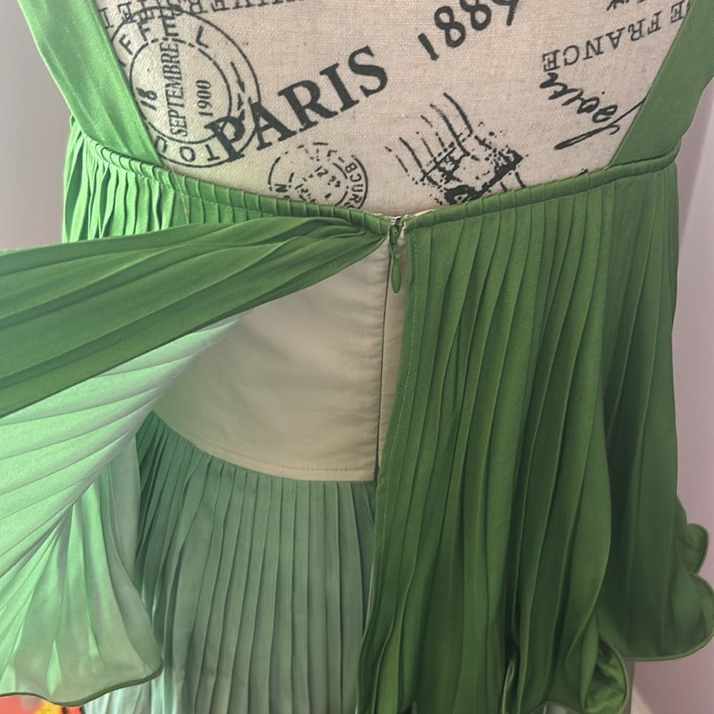 Alden Adair Green and Orange Maxi Dress - Picture 7 of 9